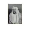 لوقو الشيخ زايد صورة