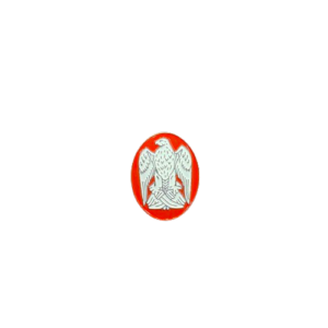 صقر ابوظبي (صغير)