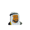 لوقو الشيخ سلطان