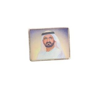 الشيخ محمد بن زايد