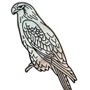 الطير
