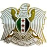 النسر السوري