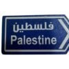 الى فلسطين