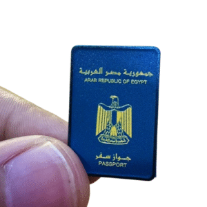 لوقو الجواز المصري